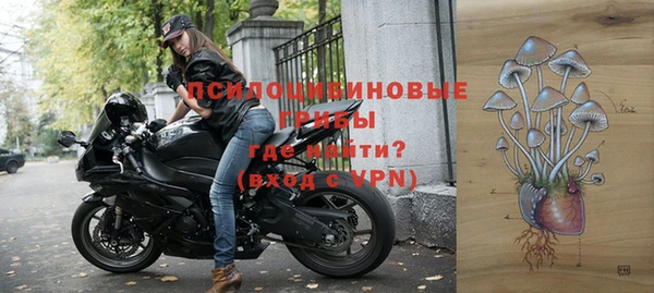 твердый Аркадак